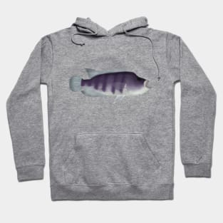 Wolf Cichlid Hoodie